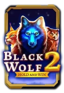 black-wolf-2.webp