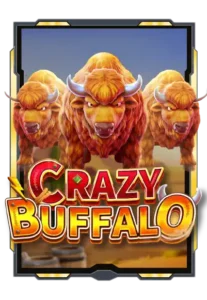 crazy-buffalo.webp